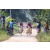 Team 339 / Raid Amazones Sri Lanka 2022 - J5 VTT
