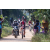 Team 85 / Raid Amazones Sri Lanka 2022 - J5 VTT