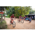 Team 59 / Raid Amazones Sri Lanka 2022 - J5 VTT