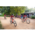Team 311 / Raid Amazones Sri Lanka 2022 - J5 VTT