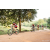 Team 339 / Raid Amazones Sri Lanka 2022 - J5 VTT