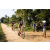 Team 324 / Raid Amazones Sri Lanka 2022 - J5 VTT