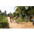 Team 320 / Raid Amazones Sri Lanka 2022 - J5 VTT