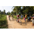 Team 319 / Raid Amazones Sri Lanka 2022 - J5 VTT