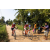 Team 47 / Raid Amazones Sri Lanka 2022 - J5 VTT