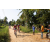 Team 31 / Raid Amazones Sri Lanka 2022 - J5 VTT