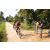 Team 340 / Raid Amazones Sri Lanka 2022 - J5 VTT