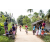 Team 313 / Raid Amazones Sri Lanka 2022 - J5 VTT