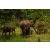 Raid Amazones Sri Lanka 2022 - Ambiance