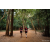 Team 04 / Raid Amazones Sri Lanka 2022 - J6 Trail