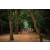 Team 19 / Raid Amazones Sri Lanka 2022 - J6 Trail