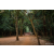 Team 12 / Raid Amazones Sri Lanka 2022 - J6 Trail
