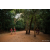 Team 19 / Raid Amazones Sri Lanka 2022 - J6 Trail