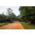 Team 44 / Raid Amazones Sri Lanka 2022 - J6 Trail