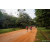 Team 27 / Raid Amazones Sri Lanka 2022 - J6 Trail