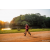 Team 20 / Raid Amazones Sri Lanka 2022 - J6 Trail
