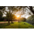 Team 67 / Raid Amazones Sri Lanka 2022 - J6 Trail