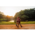 Team 06 / Raid Amazones Sri Lanka 2022 - J6 Trail