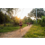 Team 37 / Raid Amazones Sri Lanka 2022 - J6 Trail