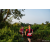 Team 09 / Raid Amazones Sri Lanka 2022 - J6 Trail