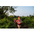 Team 15 / Raid Amazones Sri Lanka 2022 - J6 Trail