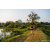 Team 21 / Raid Amazones Sri Lanka 2022 - J6 Trail
