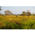 Raid Amazones Sri Lanka 2022 - J6 Trail