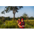 Team 21 / Raid Amazones Sri Lanka 2022 - J6 Trail