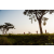 Team 31 / Raid Amazones Sri Lanka 2022 - J6 Trail