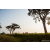 Raid Amazones Sri Lanka 2022 - J6 Trail