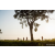 Raid Amazones Sri Lanka 2022 - J6 Trail