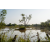 Raid Amazones Sri Lanka 2022 - J6 Trail
