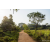 Raid Amazones Sri Lanka 2022 - J6 Trail