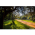 Raid Amazones Sri Lanka 2022 - J6 Trail