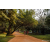 Team 24 / Raid Amazones Sri Lanka 2022 - J6 Trail