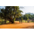 Raid Amazones Sri Lanka 2022 - J6 Trail