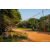 Team 36 / Raid Amazones Sri Lanka 2022 - J6 Trail