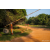 Team 01 / Raid Amazones Sri Lanka 2022 - J6 Trail