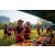 Team 312 / Raid Amazones Sri Lanka 2022 - J6 Trail