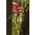 Team 319 / Raid Amazones Sri Lanka 2022 - Tir Arc