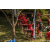 Team 311 / Raid Amazones Sri Lanka 2022 - Tir Arc