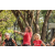 Team 57 / Raid Amazones Sri Lanka 2022 - Tir Arc