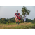 Team 78 / Raid Amazones Sri Lanka 2022 - J6 Trail