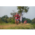 Team 28 / Raid Amazones Sri Lanka 2022 - J6 Trail