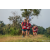 Team 59 / Raid Amazones Sri Lanka 2022 - J6 Trail