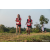 Team 71 / Raid Amazones Sri Lanka 2022 - J6 Trail