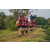 Team 306 / Raid Amazones Sri Lanka 2022 - J6 Trail