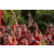 Raid Amazones Sri Lanka 2022 - J6 Trail