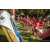 Team 320 / Raid Amazones Sri Lanka 2022 - Tir Arc
