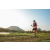 Team 18 / Raid Amazones Sri Lanka 2022 - J6 Trail